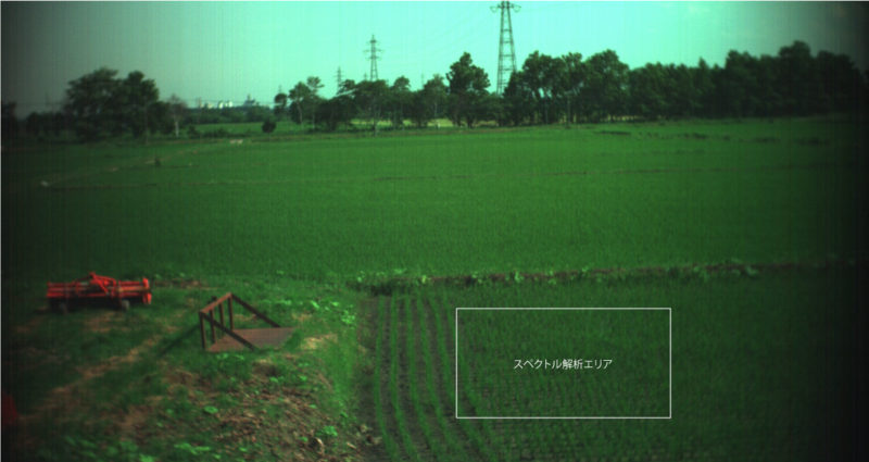 2016年江別市における田んぼのスペクトル解析エリア
