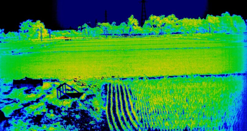 2016年7月01日江別市における田んぼのスペクトル計測-NDVI--