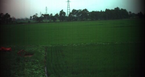 2016年7月29日江別市における田んぼのスペクトル計測