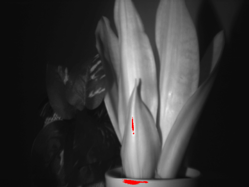 植物と造花750nmハイパースペクトルイメージ