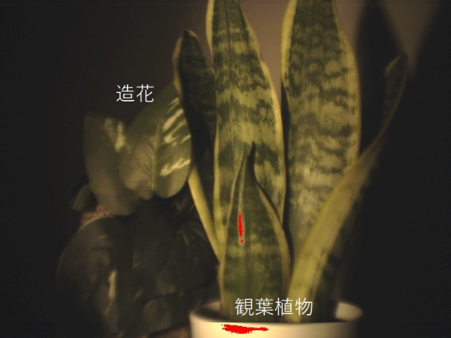 植物と造花ハイパースペクトルイメージ